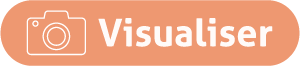 Visualiser